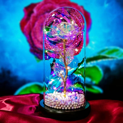 Enchanted Rose